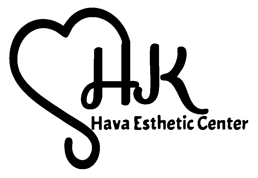 hava logo